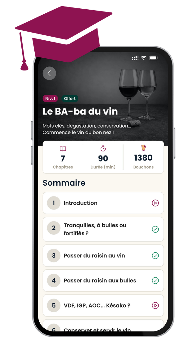 L'app Vino Master : le Vino Module « Le BA-ba du vin » et son sommaire